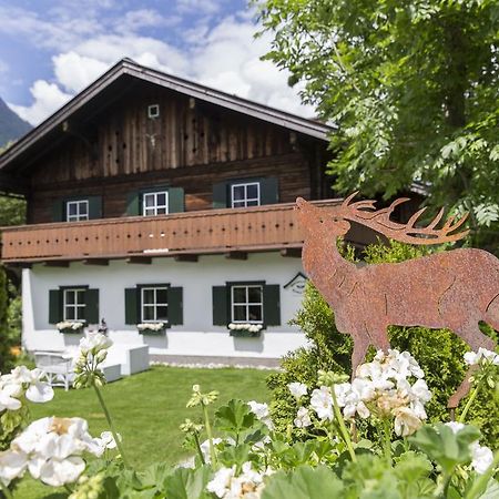 Forest Chalet, 15 Min To Salzburg Olt Town, And Most Beautiful Lakes, Secluded Location, 1,000 Sqm Garden, Mountainview, Panorama Sauna, Bath Whirlpool, Bbq&Bikes&Sunbeds For Free, Up To 10 P Golling an der Salzach Bagian luar foto