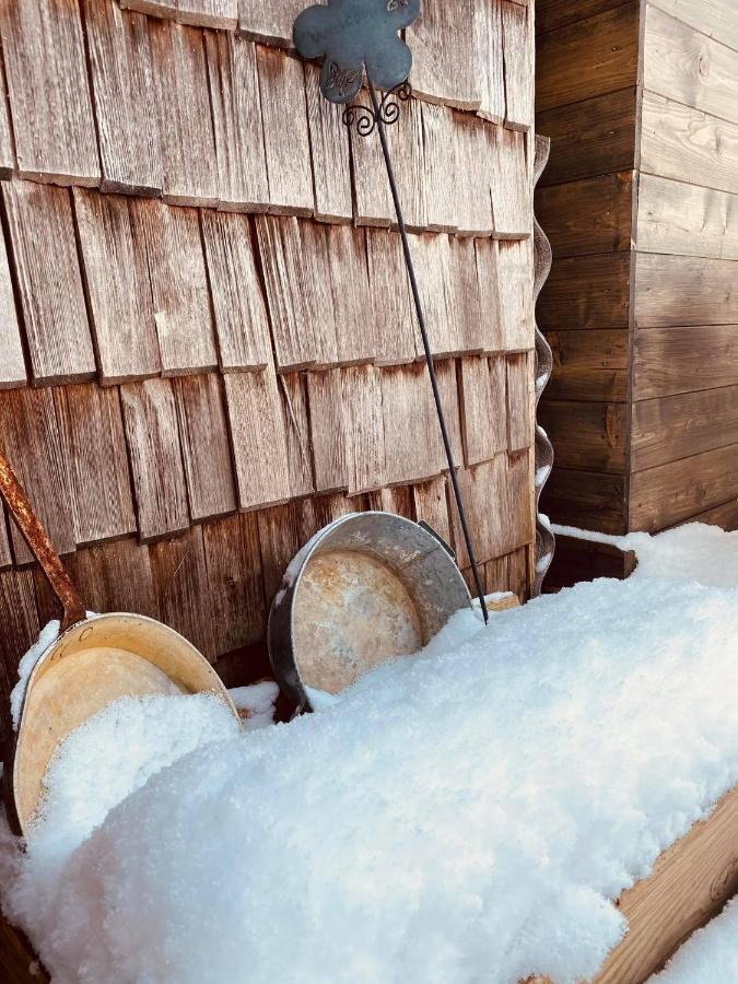 Forest Chalet, 15 Min To Salzburg Olt Town, And Most Beautiful Lakes, Secluded Location, 1,000 Sqm Garden, Mountainview, Panorama Sauna, Bath Whirlpool, Bbq&Bikes&Sunbeds For Free, Up To 10 P Golling an der Salzach Bagian luar foto