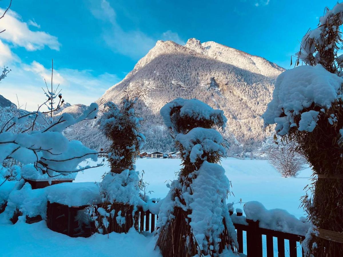 Forest Chalet, 15 Min To Salzburg Olt Town, And Most Beautiful Lakes, Secluded Location, 1,000 Sqm Garden, Mountainview, Panorama Sauna, Bath Whirlpool, Bbq&Bikes&Sunbeds For Free, Up To 10 P Golling an der Salzach Bagian luar foto