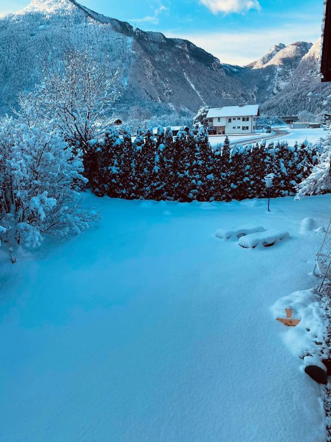 Forest Chalet, 15 Min To Salzburg Olt Town, And Most Beautiful Lakes, Secluded Location, 1,000 Sqm Garden, Mountainview, Panorama Sauna, Bath Whirlpool, Bbq&Bikes&Sunbeds For Free, Up To 10 P Golling an der Salzach Bagian luar foto