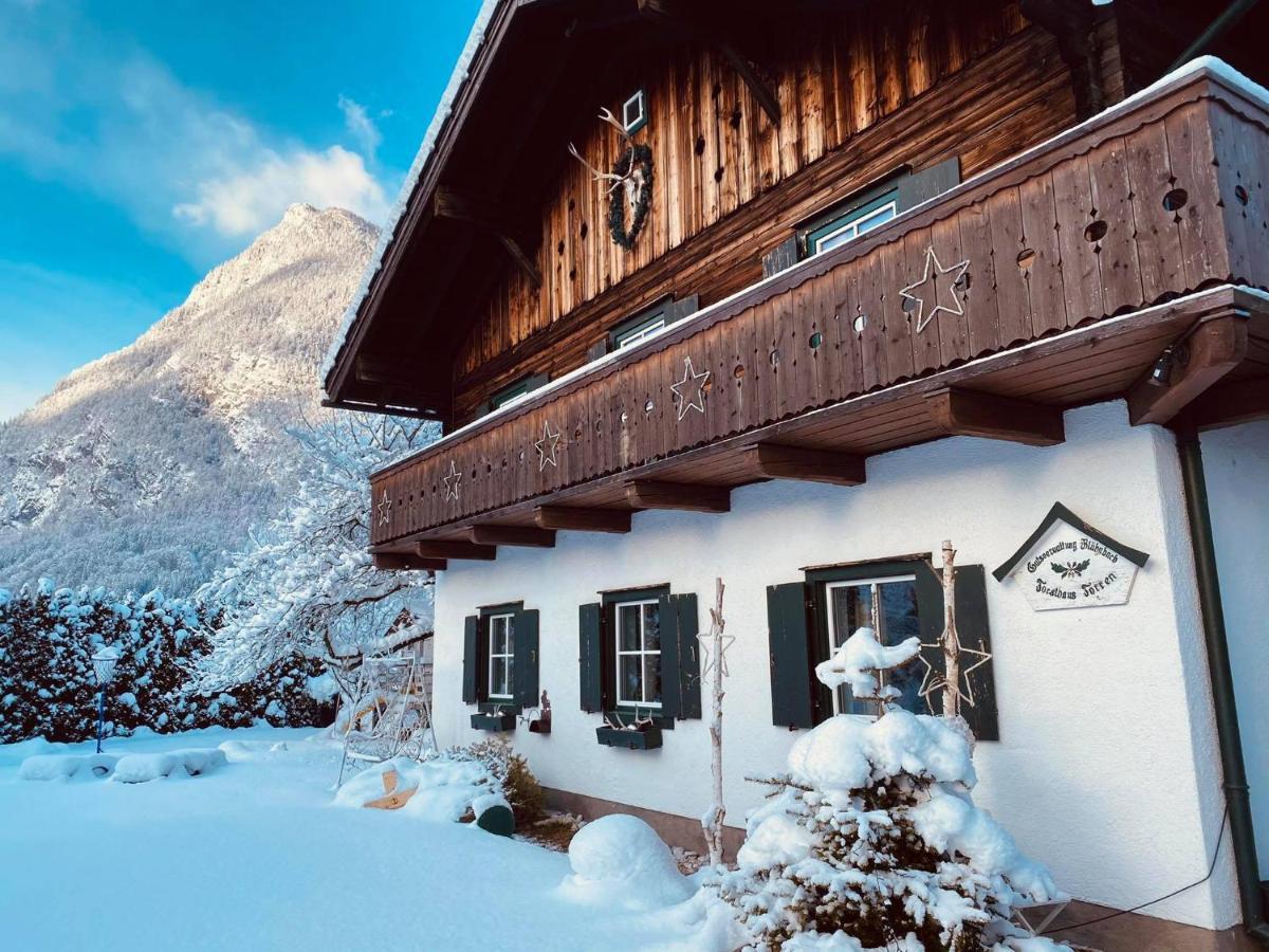 Forest Chalet, 15 Min To Salzburg Olt Town, And Most Beautiful Lakes, Secluded Location, 1,000 Sqm Garden, Mountainview, Panorama Sauna, Bath Whirlpool, Bbq&Bikes&Sunbeds For Free, Up To 10 P Golling an der Salzach Bagian luar foto