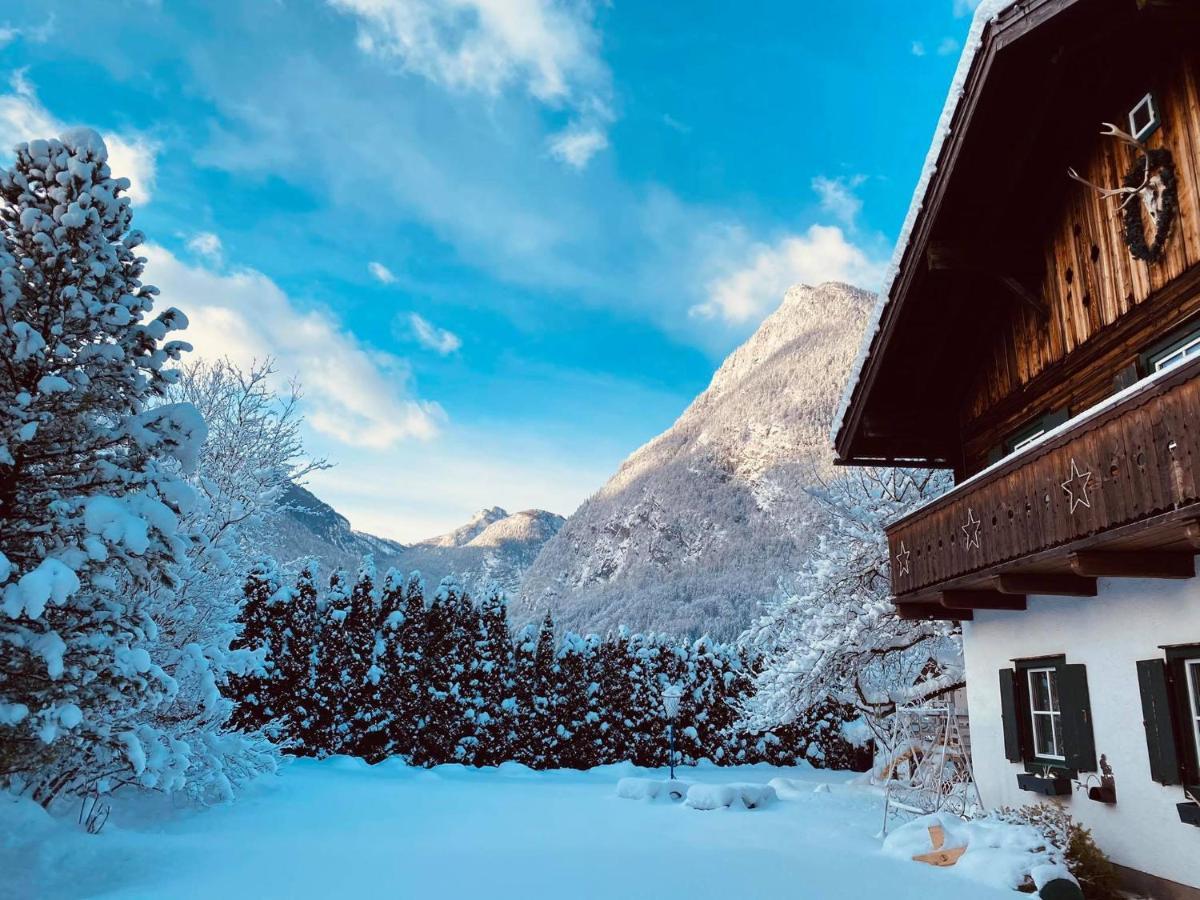 Forest Chalet, 15 Min To Salzburg Olt Town, And Most Beautiful Lakes, Secluded Location, 1,000 Sqm Garden, Mountainview, Panorama Sauna, Bath Whirlpool, Bbq&Bikes&Sunbeds For Free, Up To 10 P Golling an der Salzach Bagian luar foto