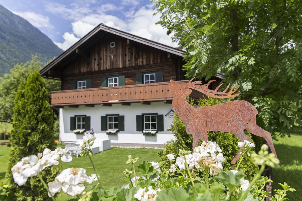 Forest Chalet, 15 Min To Salzburg Olt Town, And Most Beautiful Lakes, Secluded Location, 1,000 Sqm Garden, Mountainview, Panorama Sauna, Bath Whirlpool, Bbq&Bikes&Sunbeds For Free, Up To 10 P Golling an der Salzach Bagian luar foto