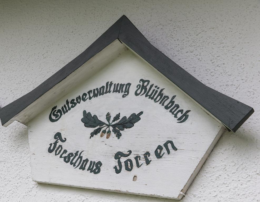 Forest Chalet, 15 Min To Salzburg Olt Town, And Most Beautiful Lakes, Secluded Location, 1,000 Sqm Garden, Mountainview, Panorama Sauna, Bath Whirlpool, Bbq&Bikes&Sunbeds For Free, Up To 10 P Golling an der Salzach Bagian luar foto