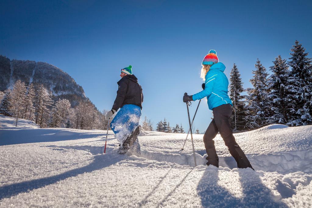 Forest Chalet, 15 Min To Salzburg Olt Town, And Most Beautiful Lakes, Secluded Location, 1,000 Sqm Garden, Mountainview, Panorama Sauna, Bath Whirlpool, Bbq&Bikes&Sunbeds For Free, Up To 10 P Golling an der Salzach Bagian luar foto