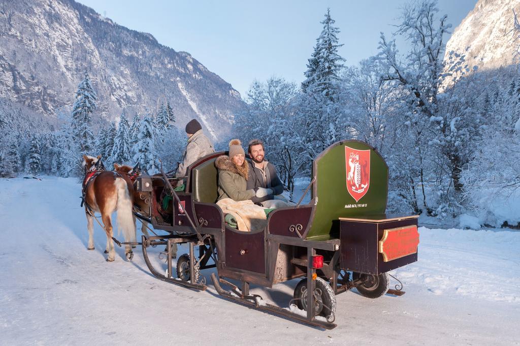 Forest Chalet, 15 Min To Salzburg Olt Town, And Most Beautiful Lakes, Secluded Location, 1,000 Sqm Garden, Mountainview, Panorama Sauna, Bath Whirlpool, Bbq&Bikes&Sunbeds For Free, Up To 10 P Golling an der Salzach Bagian luar foto
