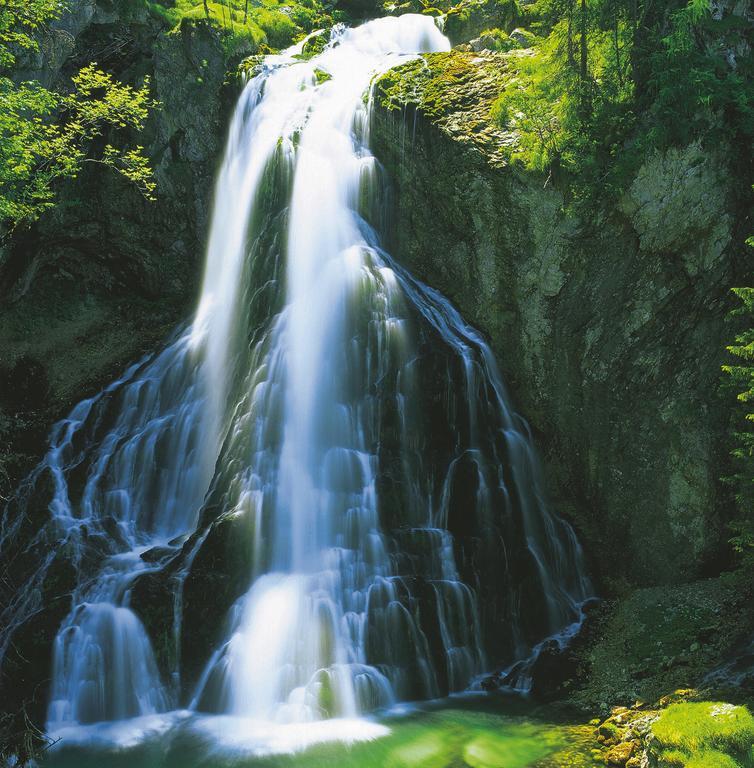 Forest Chalet, 15 Min To Salzburg Olt Town, And Most Beautiful Lakes, Secluded Location, 1,000 Sqm Garden, Mountainview, Panorama Sauna, Bath Whirlpool, Bbq&Bikes&Sunbeds For Free, Up To 10 P Golling an der Salzach Bagian luar foto